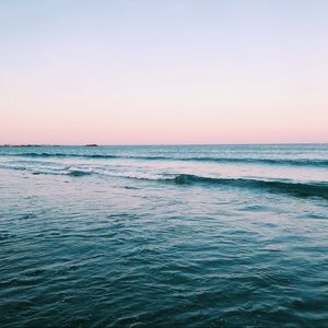 Meet your Posher, Ava